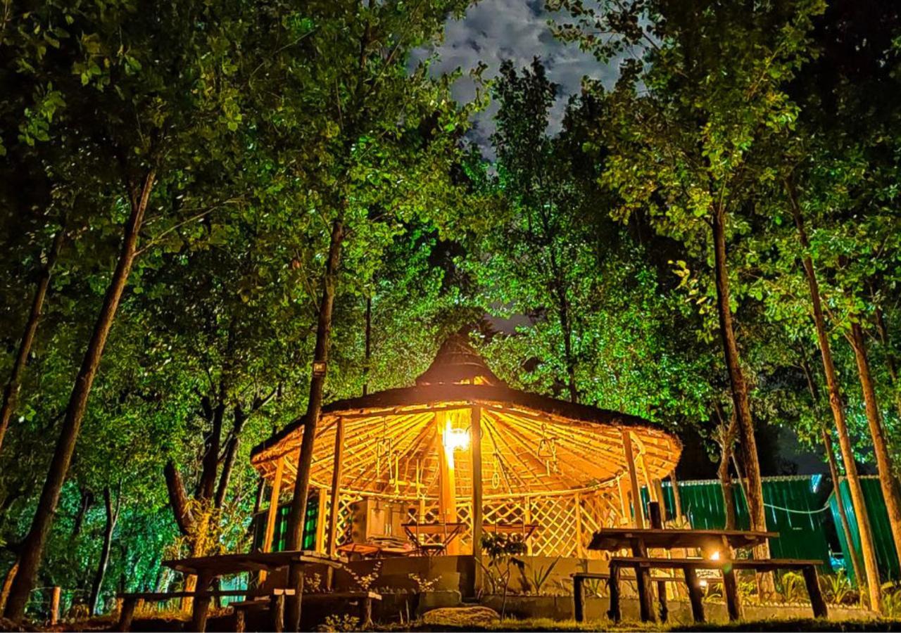 Dev Bhoomi Farms & Cottages Νταραμσάλα Εξωτερικό φωτογραφία