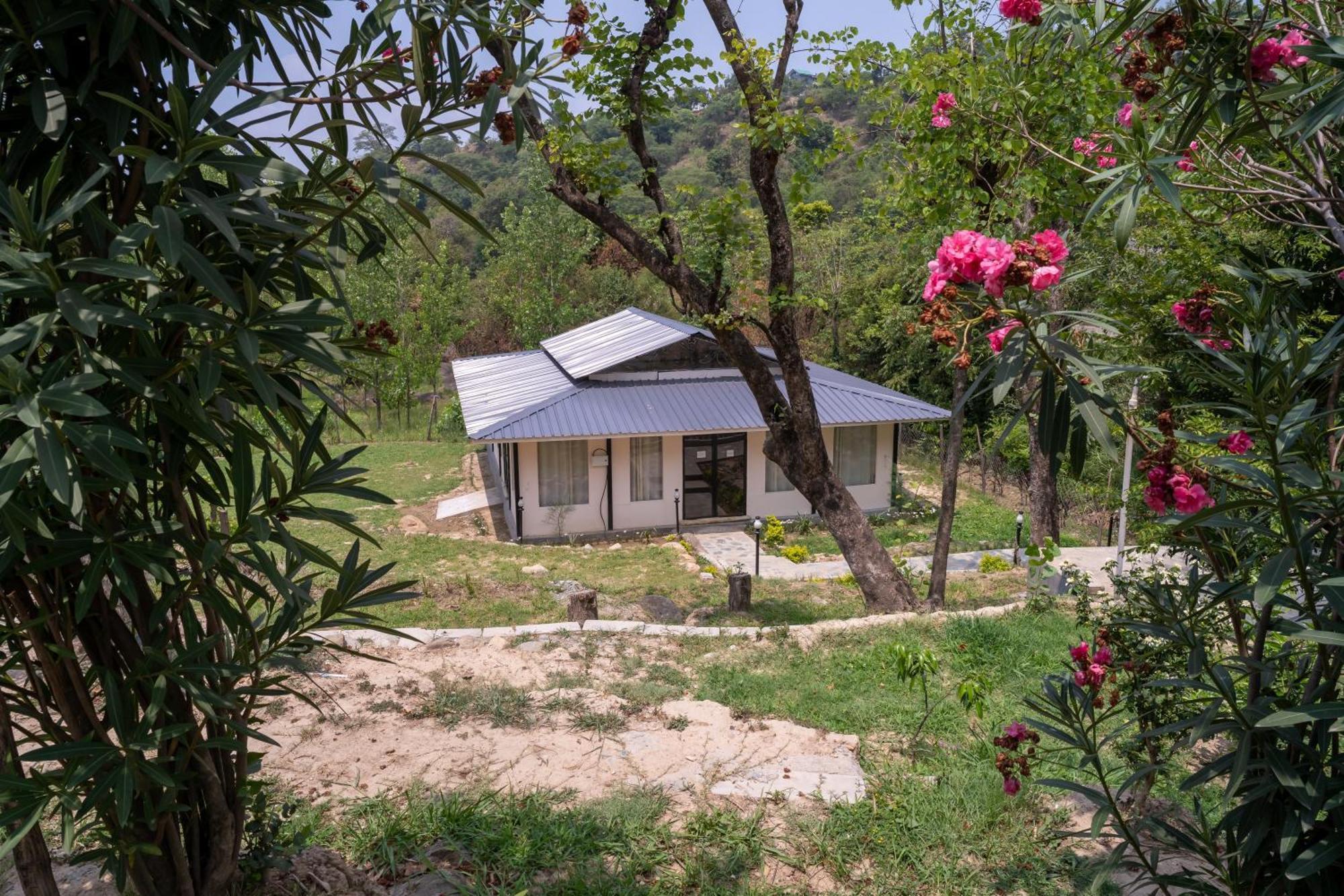 Dev Bhoomi Farms & Cottages Νταραμσάλα Εξωτερικό φωτογραφία